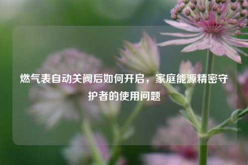 燃气表自动关阀后如何开启,家庭能源精密守护者的使用问题