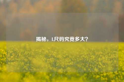 揭秘,L尺码究竟多大?