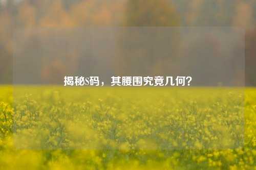 揭秘S码,其腰围究竟几何?