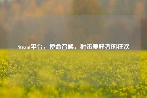 Steam平台,使命召唤,射击爱好者的狂欢