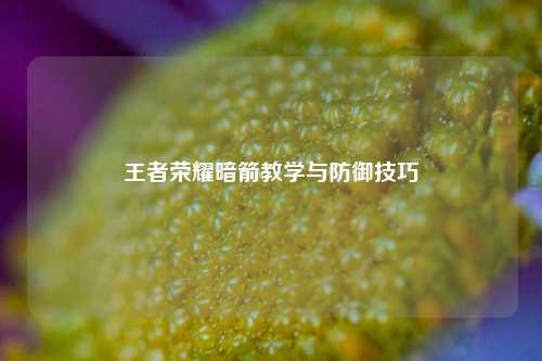 王者荣耀暗箭教学与防御技巧