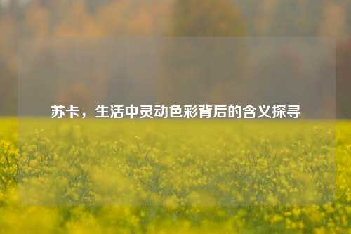 苏卡,生活中灵动色彩背后的含义探寻