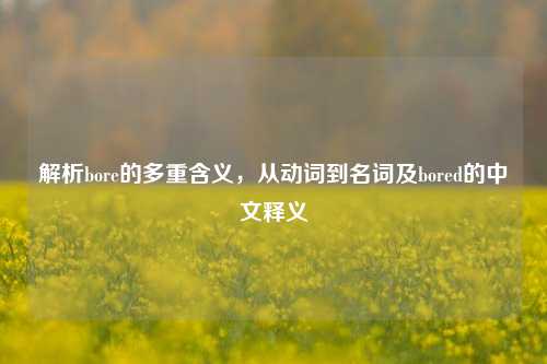 解析bore的多重含义,从动词到名词及bored的中文释义
