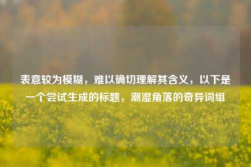 表意较为模糊,难以确切理解其含义,以下是一个尝试生成的标题,潮湿角落的奇异词组