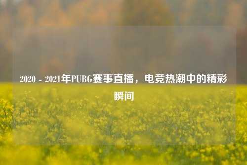 2020 - 2021年PUBG赛事直播,电竞热潮中的精彩瞬间