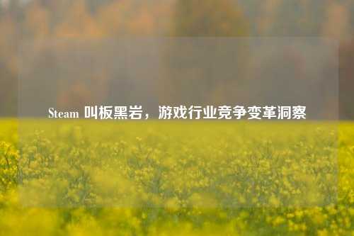 Steam 叫板黑岩,游戏行业竞争变革洞察
