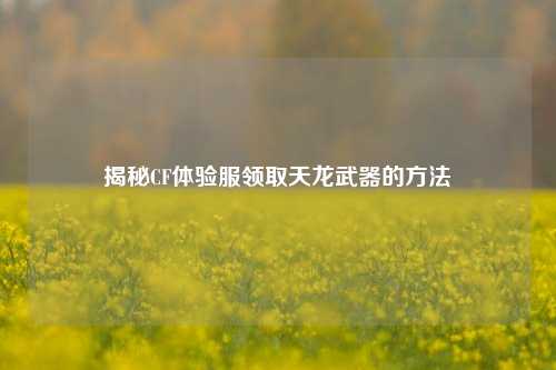 揭秘CF体验服领取天龙武器的 ***
