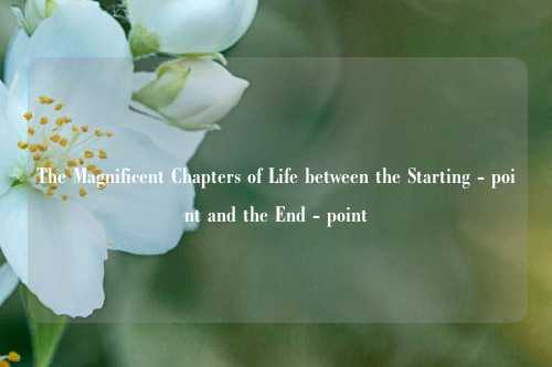 The Magnificent Chapters of Life between the Starting - point and the End - point