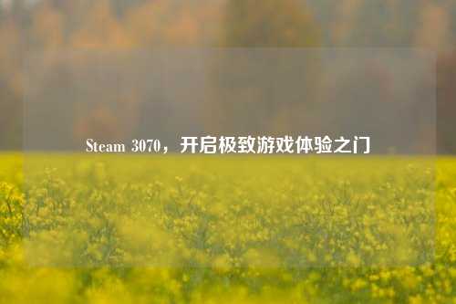 Steam 3070,开启极致游戏体验之门