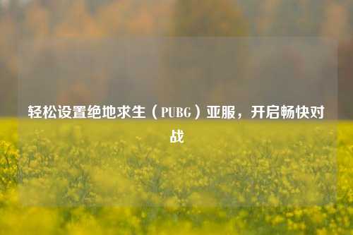 轻松设置绝地求生（PUBG）亚服，开启畅快对战