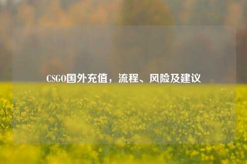 CSGO国外充值，流程、风险及建议