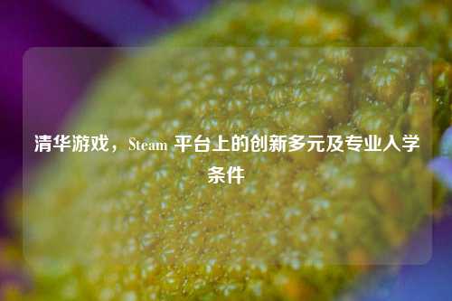 清华游戏，Steam 平台上的创新多元及专业入学条件