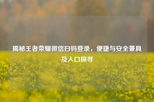 揭秘王者荣耀微信扫码登录，便捷与安全兼具及入口探寻