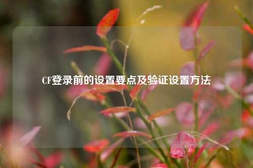CF登录前的设置要点及验证设置 *** 