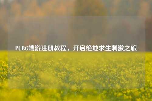 PUBG端游注册教程，开启绝地求生***之旅
