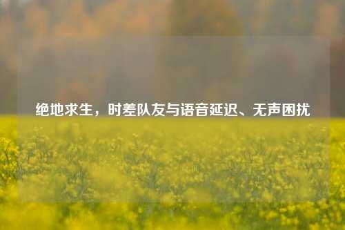 绝地求生,时差队友与语音延迟、无声困扰