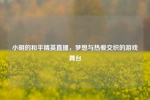 小明的和平精英直播,梦想与热爱交织的游戏舞台