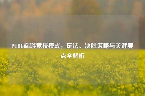 PUBG端游竞技模式,玩法、决胜策略与关键要点全解析
