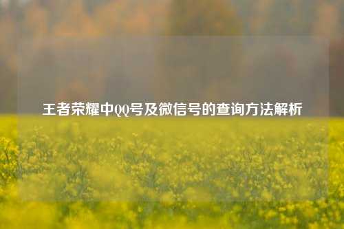 王者荣耀中 *** 号及微信号的查询 *** 解析