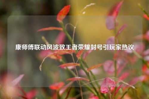 康师傅联动风波致王者荣耀封号引玩家热议