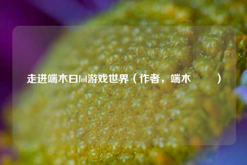 走进端木曰lol游戏世界(作者,端木勍勍 )