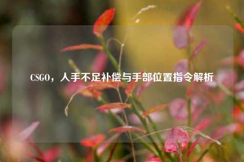 CSGO,人手不足补偿与手部位置指令解析