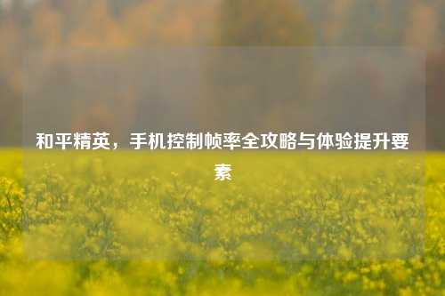 和平精英,手机控制帧率全攻略与体验提升要素