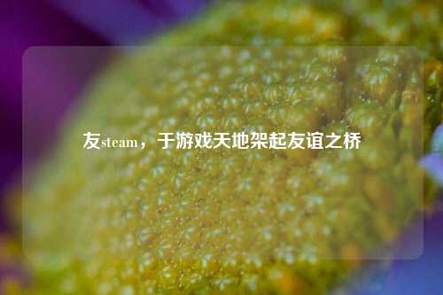 友steam,于游戏天地架起友谊之桥