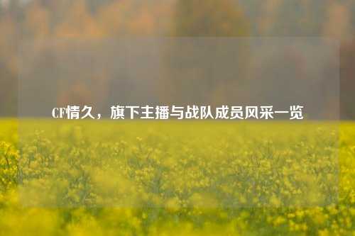 CF情久,旗下主播与战队成员风采一览