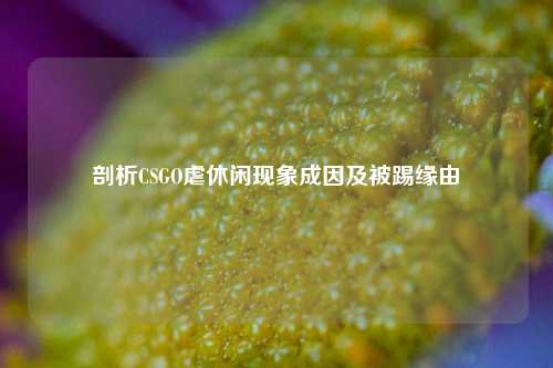 剖析CSGO虐休闲现象成因及被踢缘由