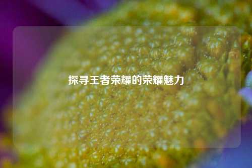 探寻王者荣耀的荣耀魅力