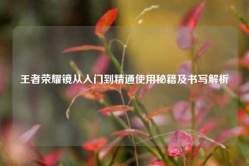 王者荣耀镜从入门到精通使用秘籍及书写解析