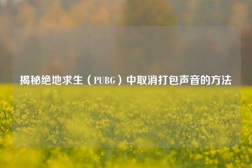 揭秘绝地求生(PUBG)中取消打包声音的 ***