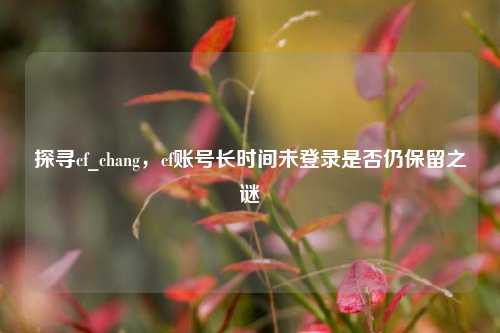 探寻cf_chang，cf账号长时间未登录是否仍保留之谜