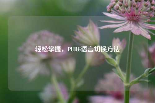 轻松掌握,PUBG语言切换 ***