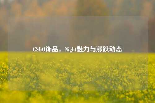 CSGO饰品,Night魅力与涨跌动态