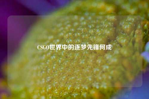 CSGO世界中的逐梦先锋何成