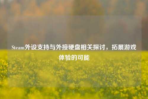 Steam外设支持与外接硬盘相关探讨,拓展游戏体验的可能