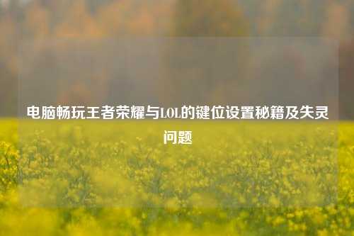 电脑畅玩王者荣耀与LOL的键位设置秘籍及失灵问题