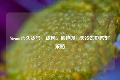 Steam永久冷号,成因、影响及15天冷却期应对策略