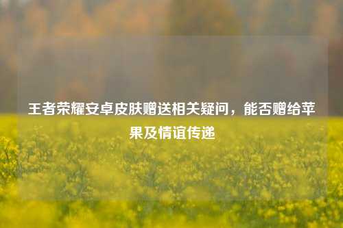 王者荣耀安卓皮肤赠送相关疑问,能否赠给苹果及情谊传递