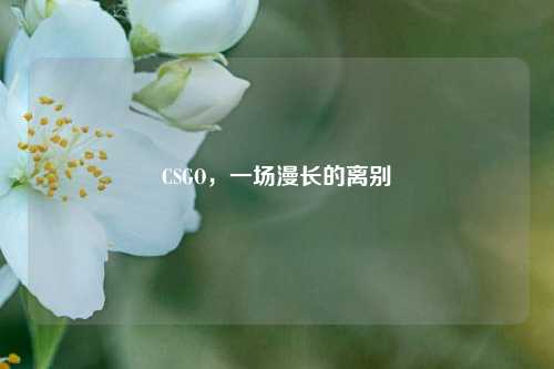 CSGO,一场漫长的离别