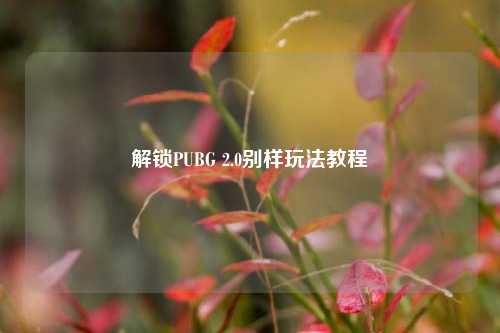 解锁PUBG 2.0别样玩法教程