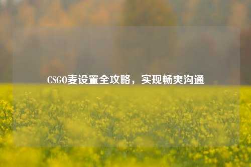 CSGO麦设置全攻略,实现畅爽沟通