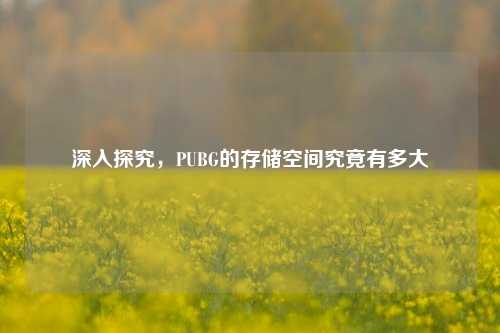 深入探究,PUBG的存储空间究竟有多大