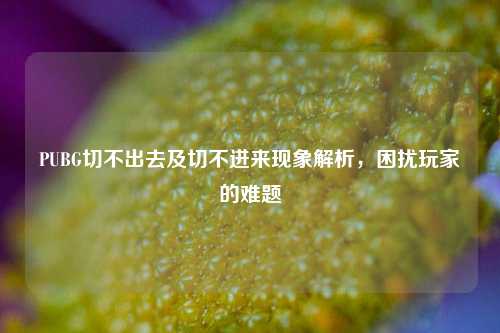 PUBG切不出去及切不进来现象解析,困扰玩家的难题
