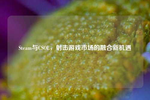 Steam与CSOL,射击游戏市场的融合新机遇