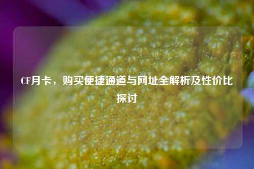 CF月卡,购买便捷通道与网址全解析及性价比探讨
