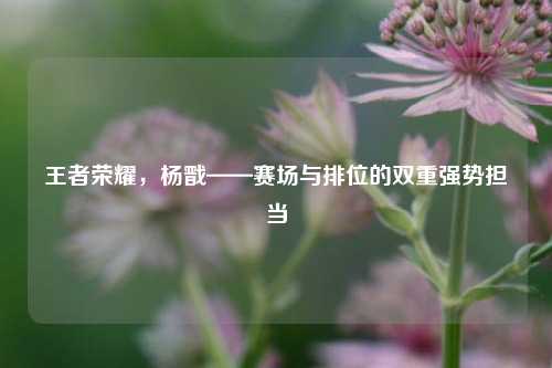 王者荣耀,杨戬——赛场与排位的双重强势担当