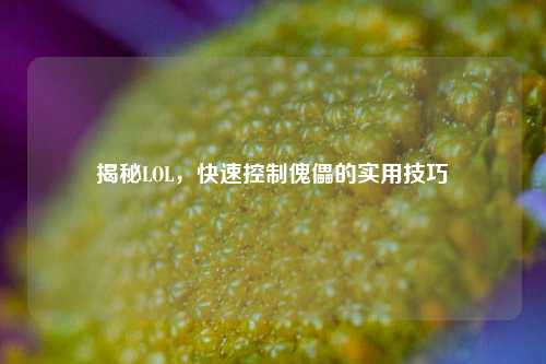 揭秘LOL,快速控制傀儡的实用技巧